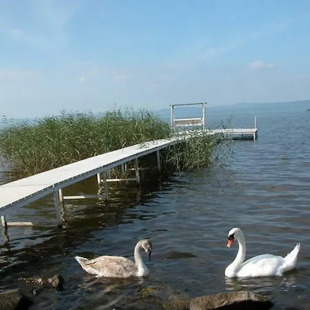 Holiday In Balatonöszöd 36018